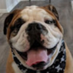 Meet your Posher, Nathan